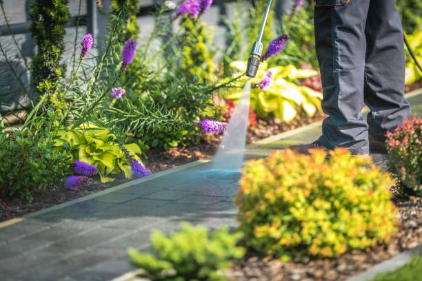  Wallington, NJ Pressure Washing Pros