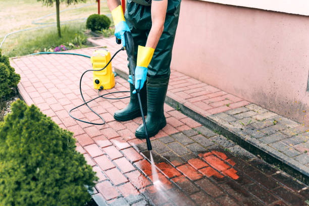 Best Sidewalk and Walkway Cleaning  in Wallington, NJ