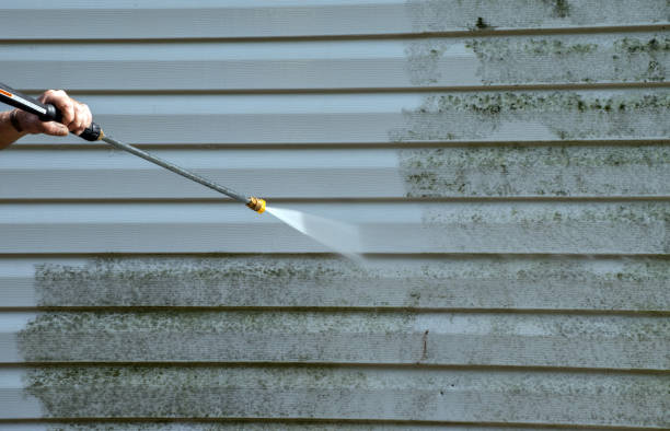 Best Driveway Pressure Washing  in Wallington, NJ